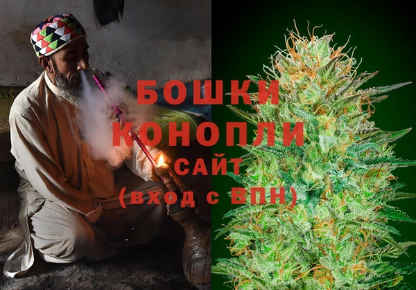 ПСИЛОЦИБИНОВЫЕ ГРИБЫ Алексеевка